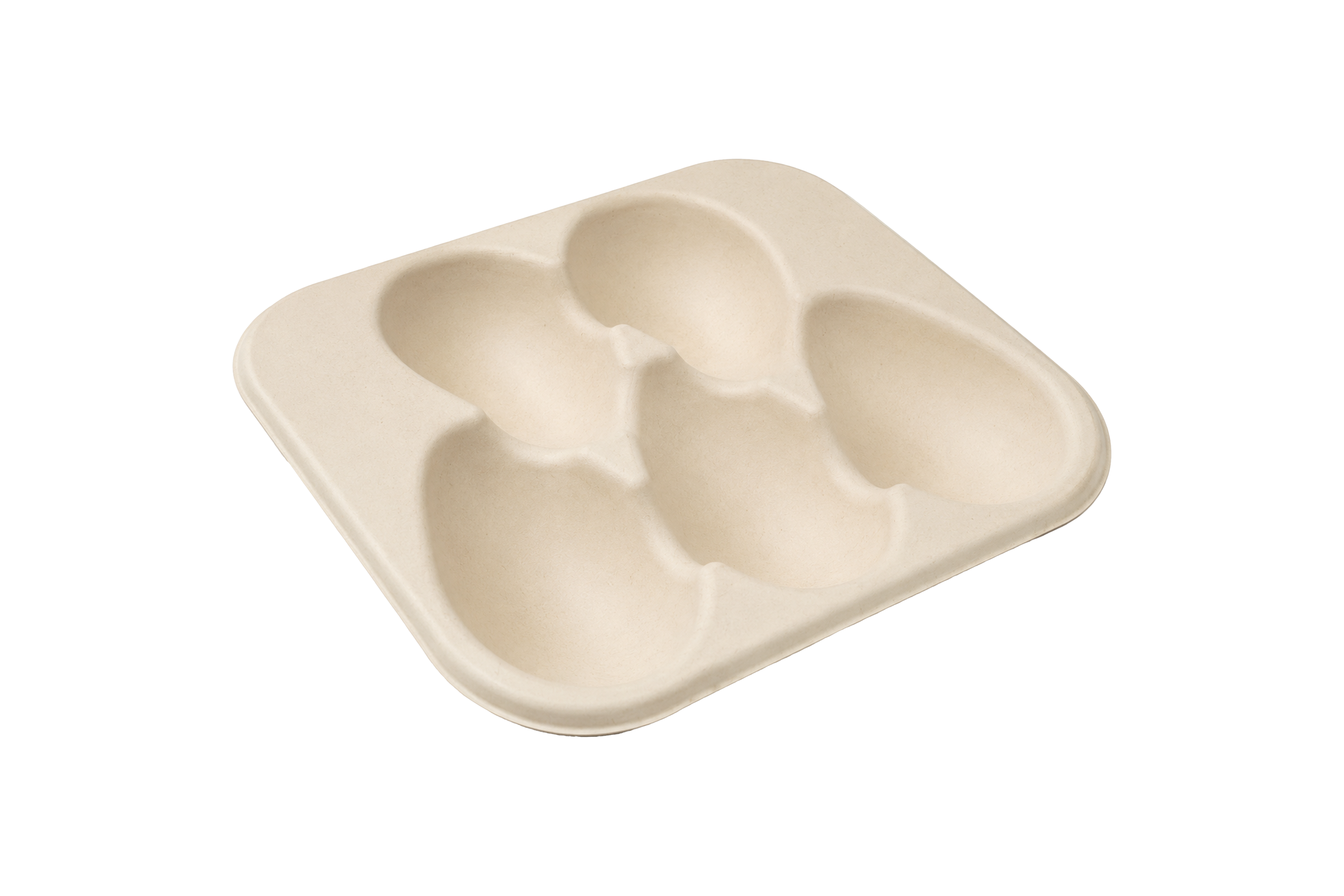 Fresh Produce Trays