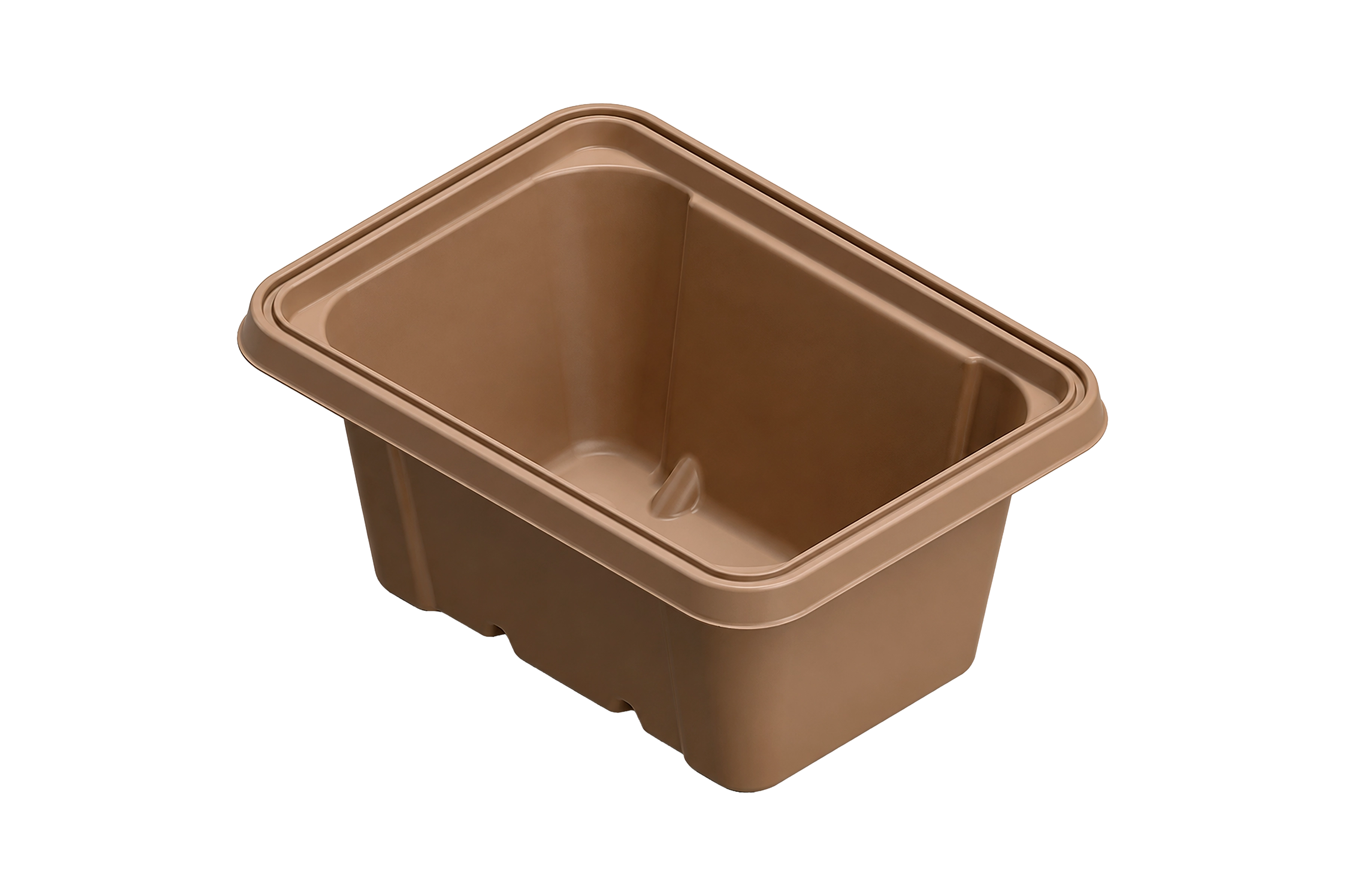 Food Service Packaging