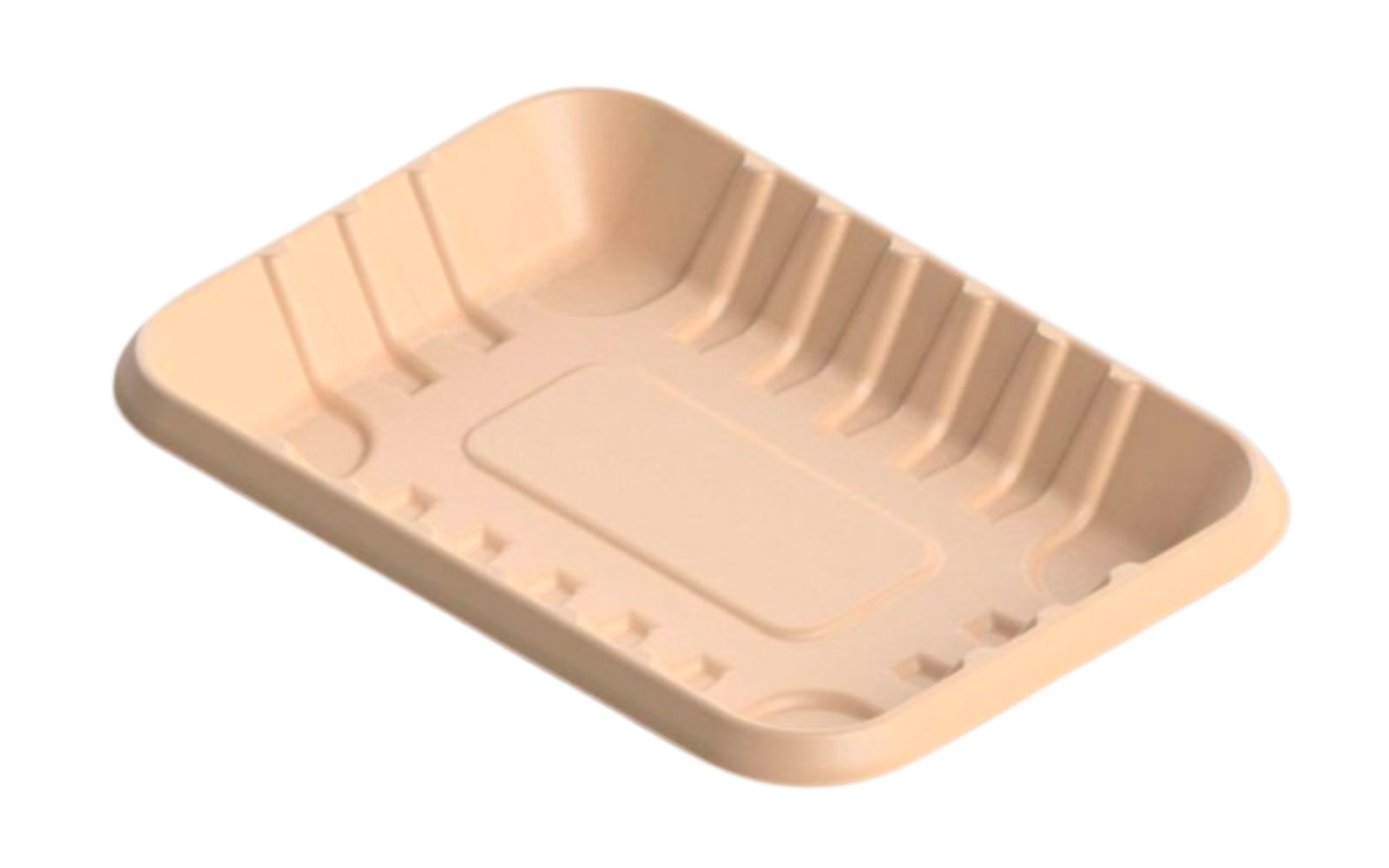 1P Tray laminated pulp tray